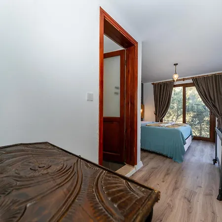 4 Bdr With Swimming Pool In Kayakoy Vila