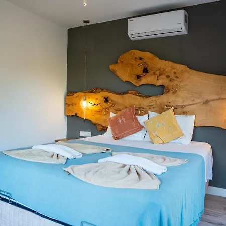 Vila 4 Bdr With Swimming Pool In Kayakoy Fethiye