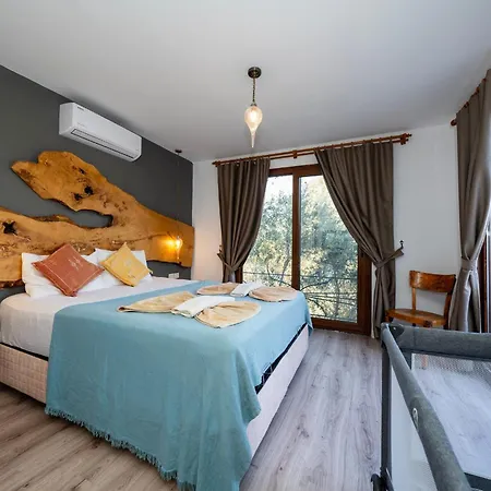 Vila 4 Bdr With Swimming Pool In Kayakoy