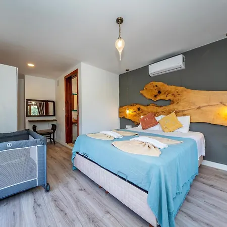 4 Bdr With Swimming Pool In Kayakoy フェティエ